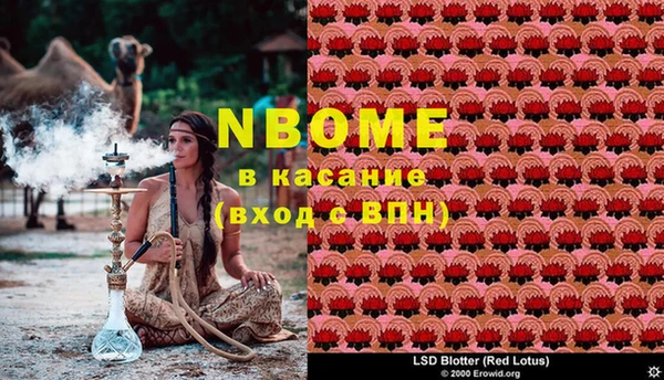 мдпв Белокуриха