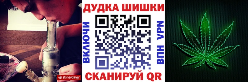 Шишки марихуана гибрид  продажа наркотиков  Новотитаровская 